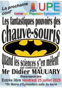 chauve-souris